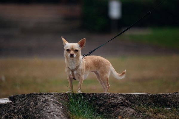 L'importance des lunettes de soleil pour la santé de vos yeux